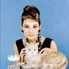 kittengolightly